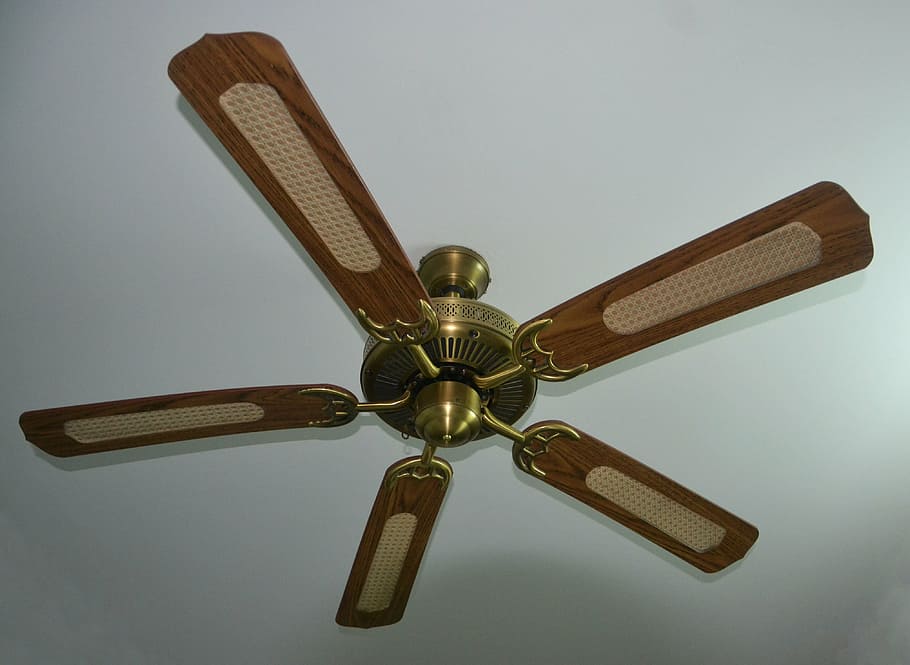 brown, 5-blade, 5- blade ceiling fan, ceiling fan, fan, whirling, ceiling, interior, air, home