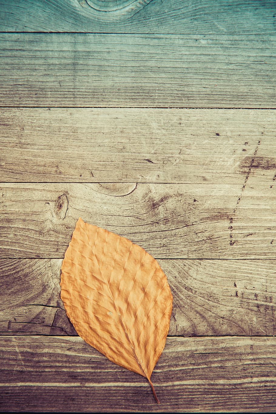 leaf, fall, autumn, wooden, pattern, wood - material, table, still life, high angle view, directly above