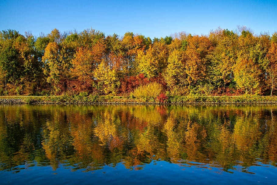 outono, árvores, folhagem de outono, banco, água, spieglung, reflexão, árvore, lago, agua