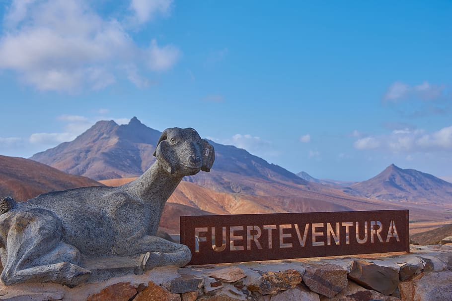 fuerteventura, viewpoint, canary islands, blue sky, desert, hill, wölke, sun, lava, volcano island