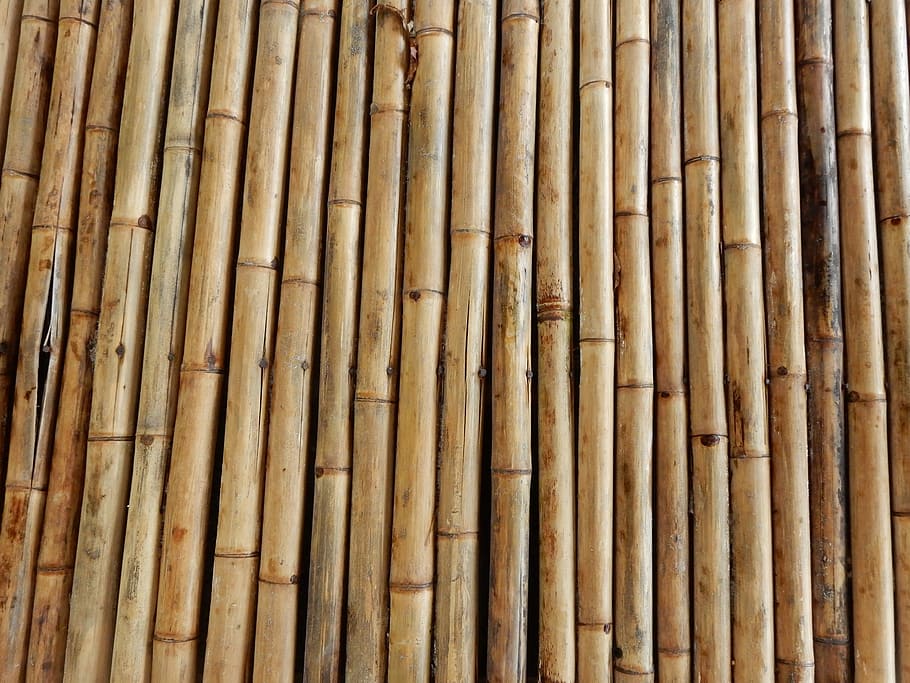 Bambú, Estructura, Textura, Varillas, varillas de bambú, caña de bambú, madera de bambú, material natural, fondo, material de bambú