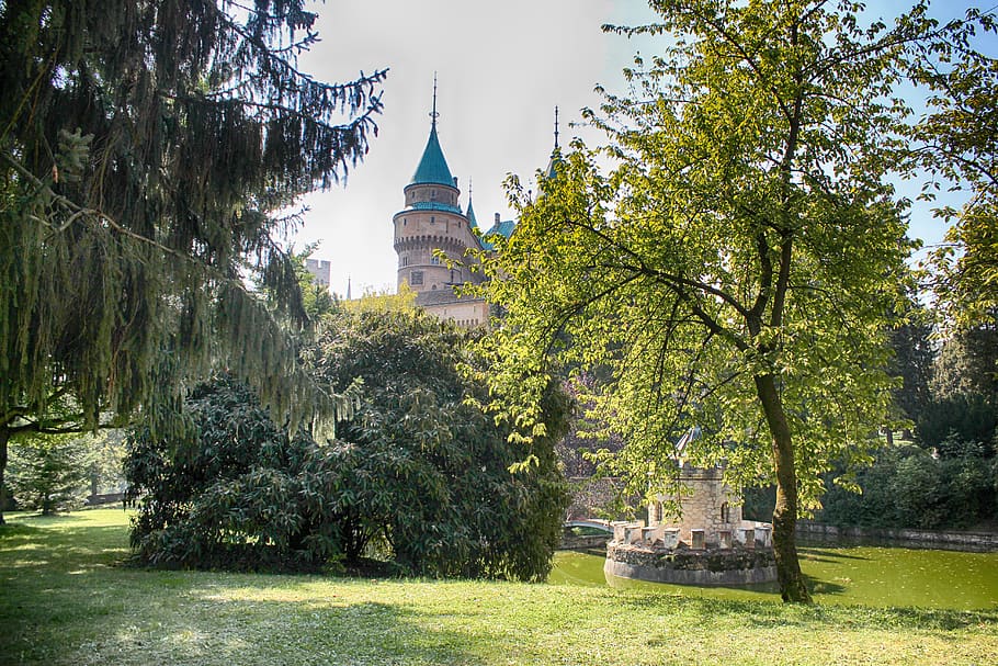 bojnice castle, slovakia, lock, tree, plant, architecture, built structure, building exterior, nature, place of worship