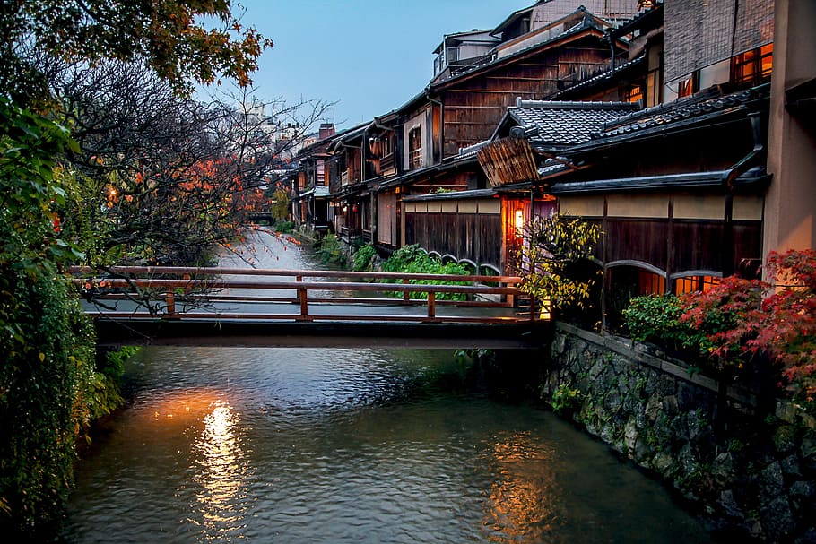 foto, puente, río, Kioto, Otoño, Hojas, hojas otoñales, shirakawa, tradición, paisaje