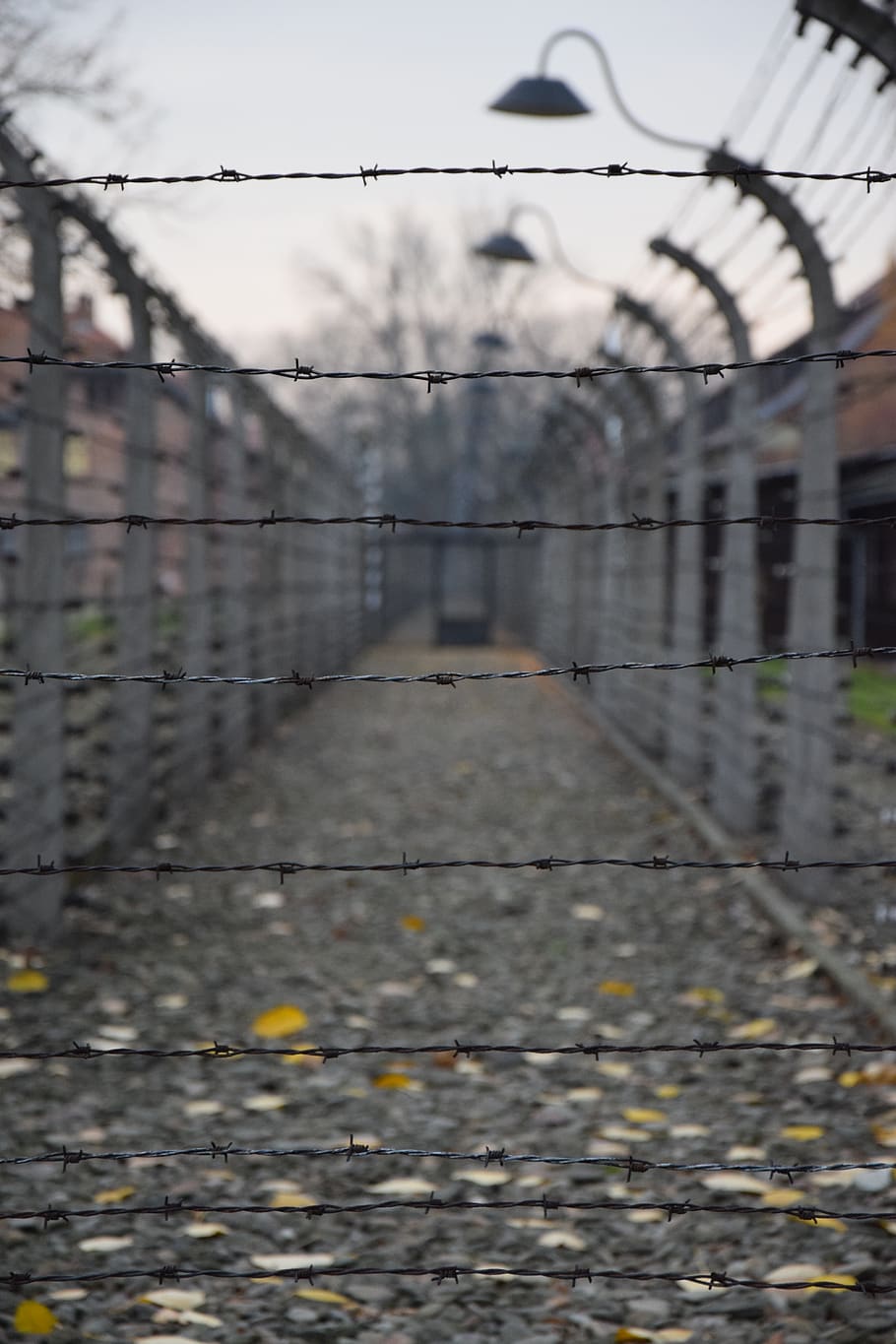 german death camp, auschwitz, history, concentration camp, labour camp, gateway, death valley, barbed wire, the fence, safety