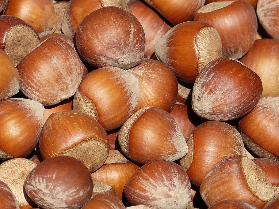 pile, brown, chestnuts, nut, nuts, hazelnuts, shell, market, food, tasty
