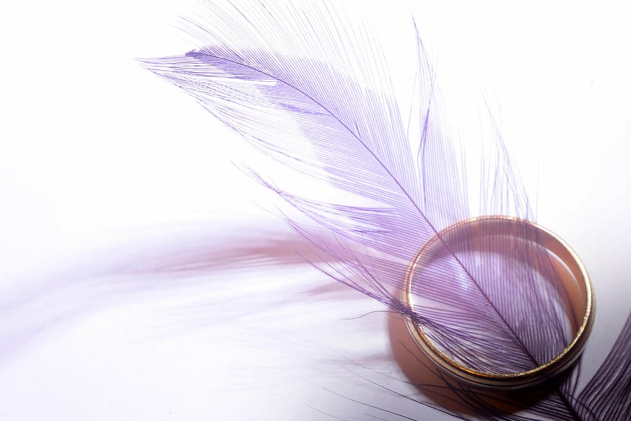 gold-colored ring, pink, feather, white, surface, gold, band, ring, purple, objects