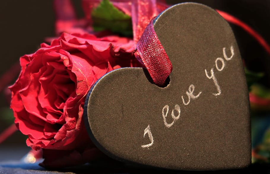 rojo, flores, amo, nota, corazón, rosa, rosa roja, romance, día de san valentín, romántico