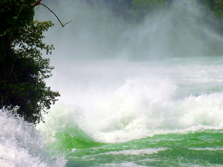 Cataratas do Reno, Cachoeira, Spray, rugindo, espuma, massa de água, murmúrio, água, rio, reno