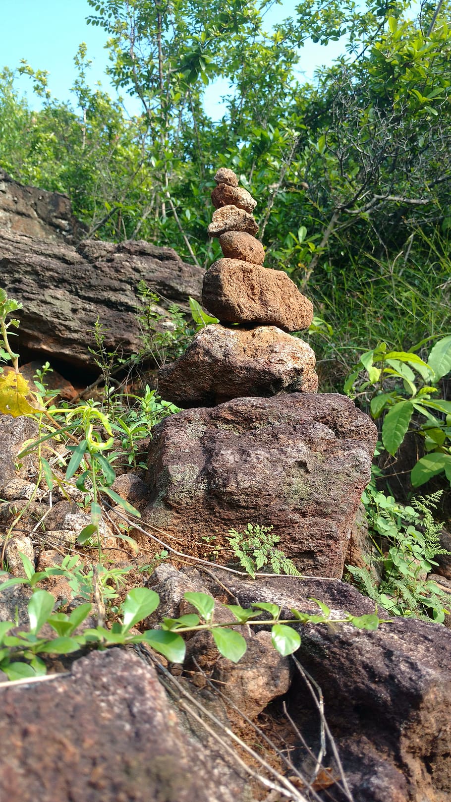 stone balancing, hills, tress, rock, plant, balance, nature, tree, stack, solid