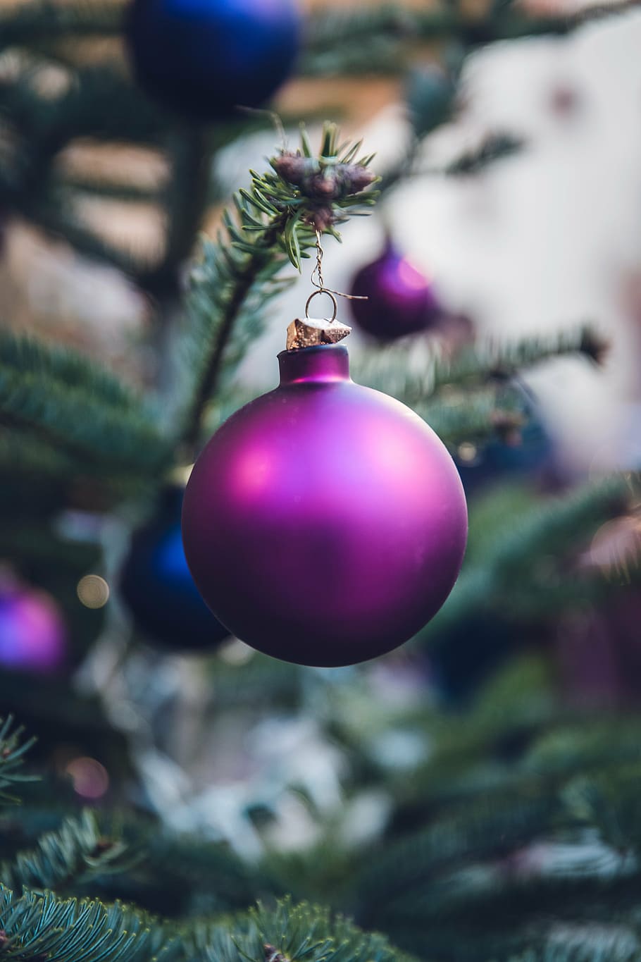 selectivo, fotografía de enfoque, rosa, bola de adorno navideño, bola, feriado, fiesta, celebración, árbol, violeta