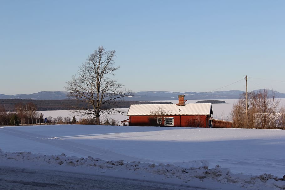 Neve, inverno, frio, bonito, vermelho, tradicional, madeira, casa de campo, sueco, campo