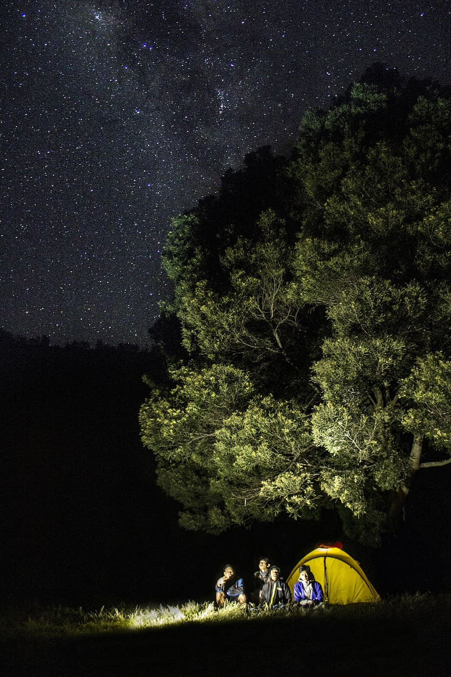 four, person, sitting, yellow, dome tent, green, leafed, tree, sky, stars