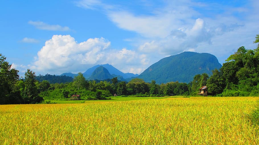 Country Side, Laos, Field, Nature, Farm, landscape, mountain, agriculture, indochina, beauty in nature