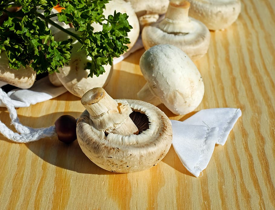 white, mushrooms, brown, wooden, surface, white mushroom, edible, frisch, healthy, vegetable