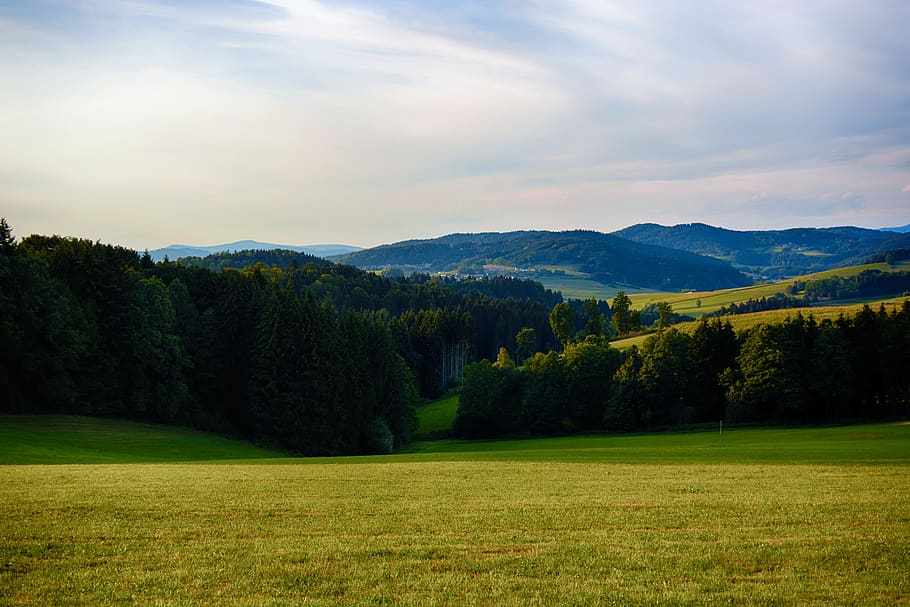 germany, bayern, field, forest, panorama, sky, green, nature, meadow, grass