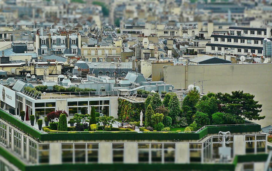 building, trees, roof, roof terrace, roof garden, architecture, paris, roofs, homes, house roof