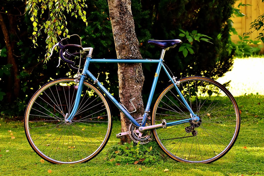 teal, hard, tail bicycle, leaned, brown, tree, daytime, bicycles, cycle, bike