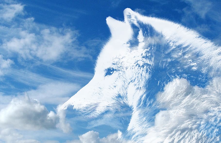 white wolf clouds, wolf, clouds, sky, atmosphere, mythology, white, spirit beings, light, mysterious