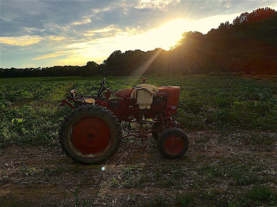tractor, granja, puesta de sol, luz, agricultura, campo, rural, agrícola, equipo, vehículo