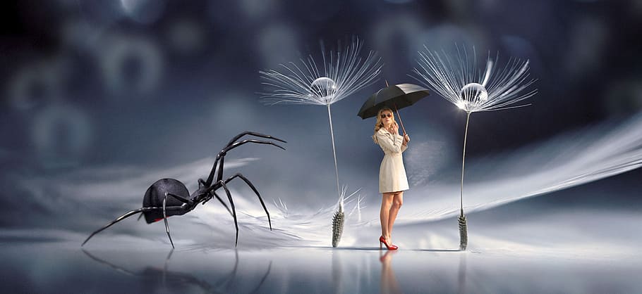 woman, holding, umbrella, spider, dandelion wallpaper, fantasy, encounter, scene, fairy tales, mystical