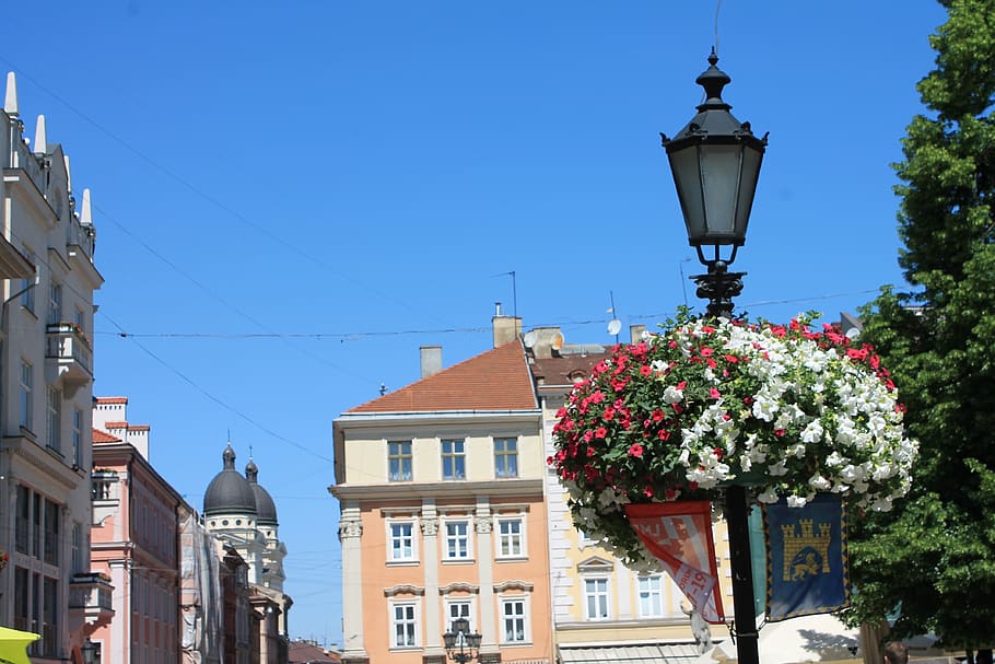 lantern, street lamp, flowers, architecture, sky, ukraine, lviv, market square, church, building