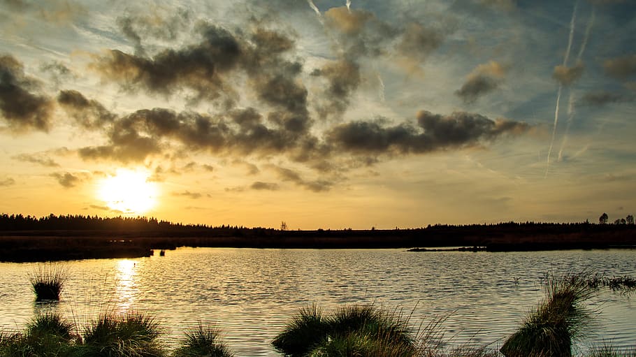 sunset, moor, venn, belgium, eifel, mood, nature reserve, swamp, abendstimmung, landscape