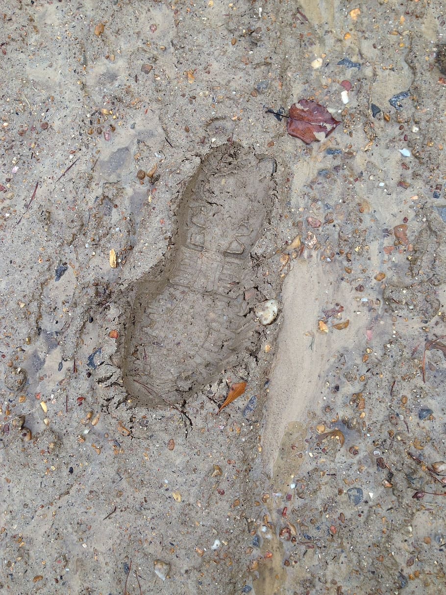 muddy, footprint, mud, foot, wet, nature, dirt, boot, hiking, outdoor