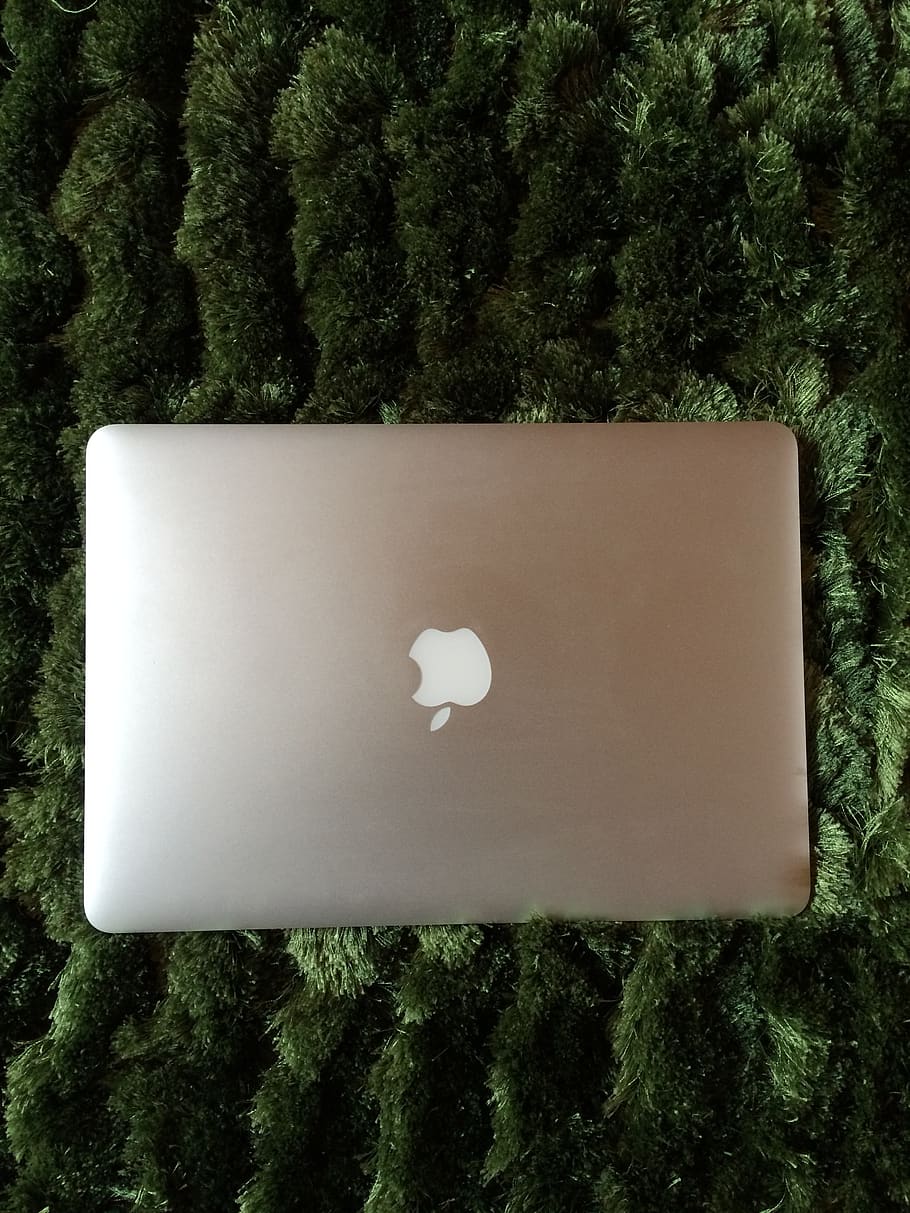 macbook, air, apple, design, plant, tree, nature, green color, day, white color