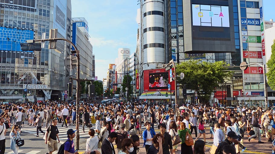 tokyo square photograph, japan, tokyo, shibuya, japanese, building, crowd, people, shopping, road