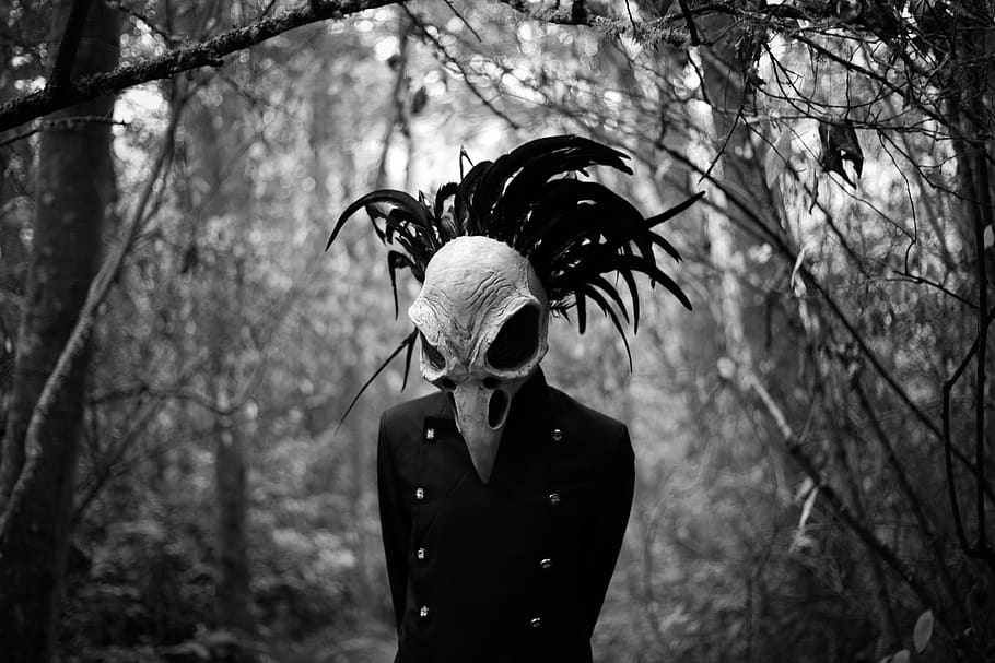 valravn, cráneo de pájaro, oscuro, gótico, horror, fantasía, misterioso, espeluznante, cuervo, místico
