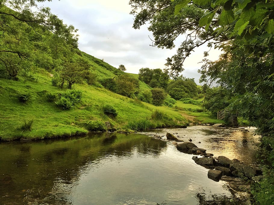 countryside, river, devon, green, water, landscape, nature, scenery, country, english