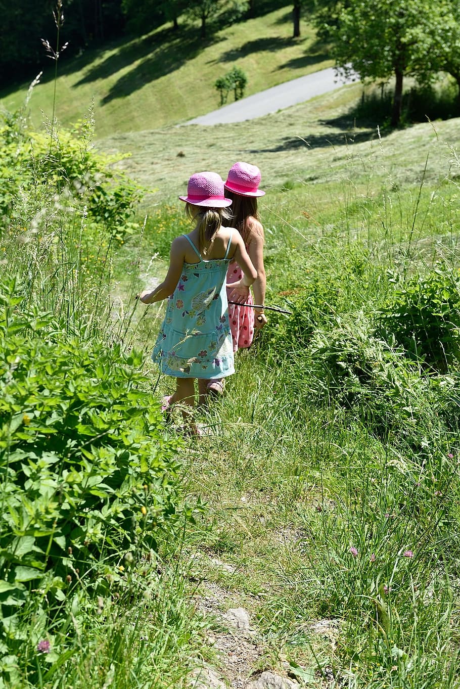 niños, niña, pradera, heno, hierba, senderismo, sendero natural, naturaleza, bergdorf, caminar - Pxfuel