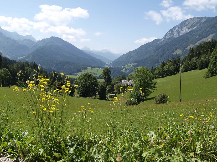 Natureza, montanhas, lago, prado, grama, Áustria, charneca, alm, passeio, caminhadas