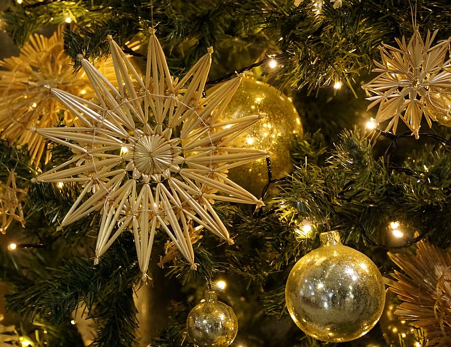 pernak-pernik emas banyak, natal, dekorasi natal, hiasan natal, bola, cemara, penerangan, semangat natal, dekorasi pohon, perhiasan natal