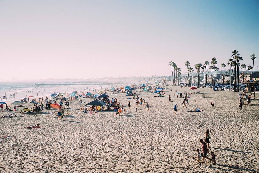 personas, disfrutando, verano, ir, playa, mar, arena, costa, california, al aire libre