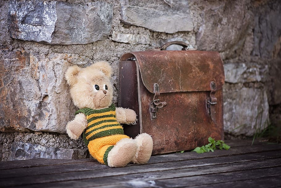 bear, plush, toy, brown, leather handbag, teddy, teddy bear, stuffed animals, stuffed animal, bears