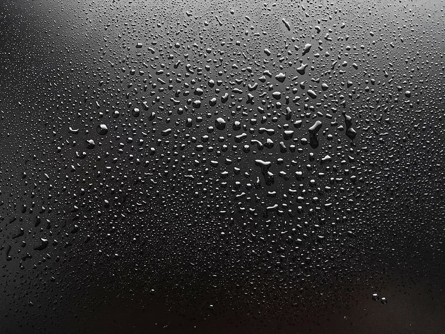 fotografia macro, orvalho da água, preto, superfície, gotas de água, orvalho, molhado, gota, líquido, limpo