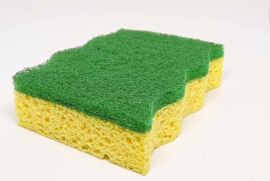sponge, house work, clean, cleaning sponge, green color, indoors, cut out, hygiene, cleaning, white background