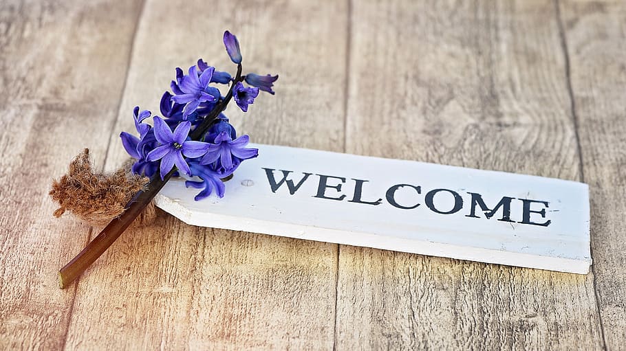 white, wooden, welcome, signage, brown, surface, hyacinth, flower, plant, flowers