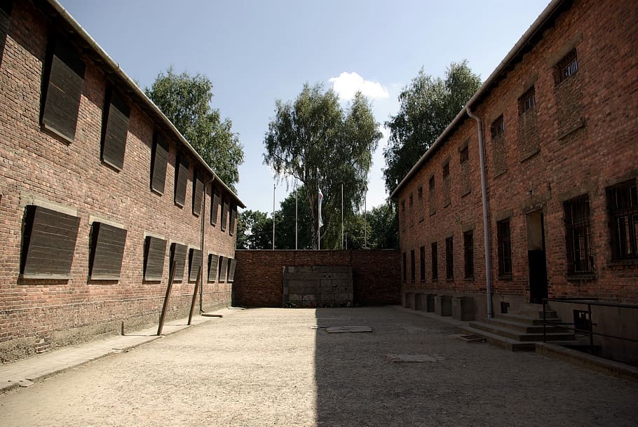 executed, wall of death, shooting, auschwitz-birkenau, concentration camp, nazism, crime, hitler, auschwitz, birkenau
