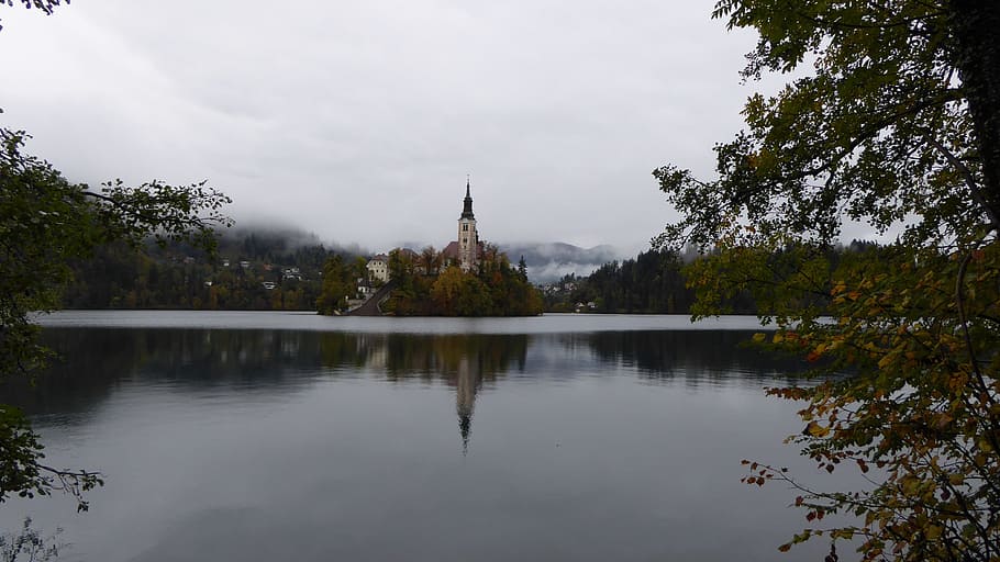 ブレッド湖, スロベニア, 教会, 反射, 木, 水, 湖, 自然, 日, 植物