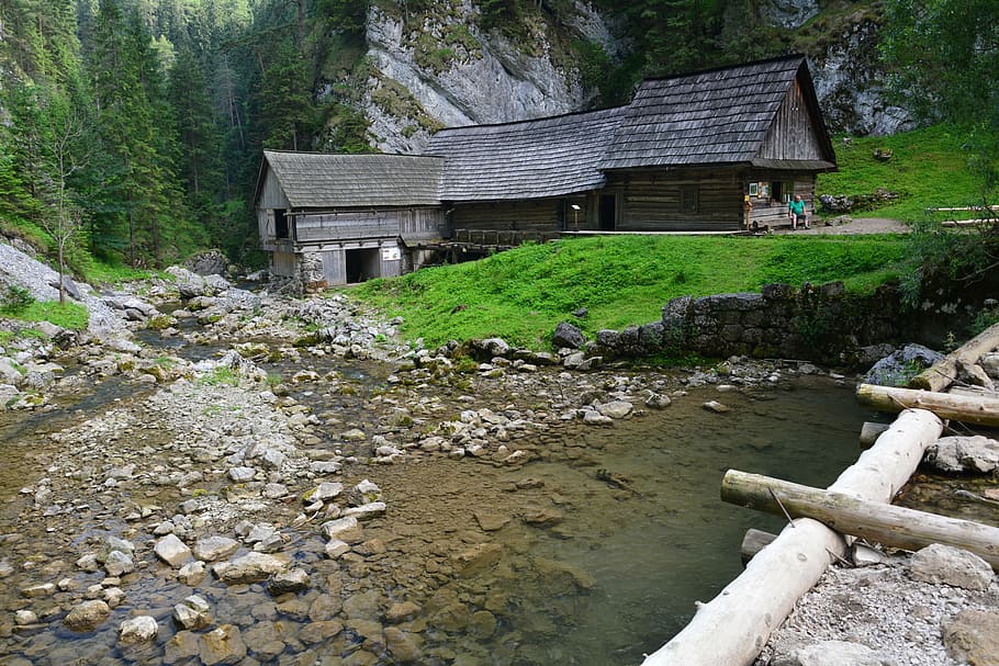 古い水車小屋, 自然, 水車小屋, スロバキア, 水, 構築された構造, 建築, 人なし, 植物, 木