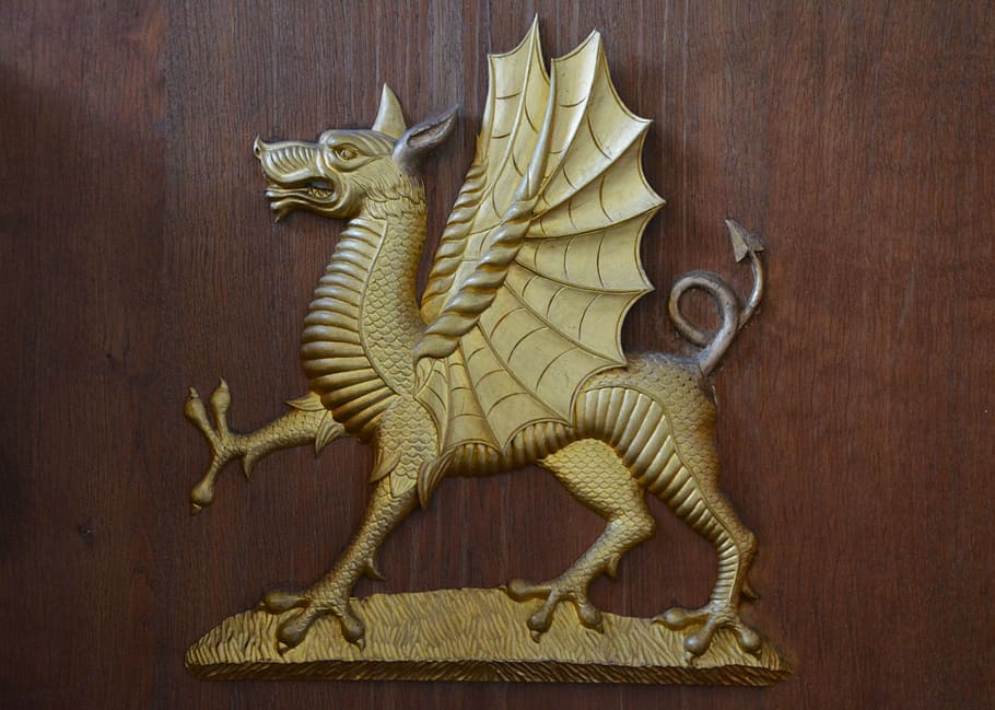 gold dragon wall decor, dragon, emblem, symbol, head, logo, mascot, ancient, medieval, old