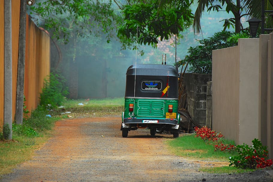 green, black, auto rickshaw, concrete, wall, trees, Rickshaw, Sri Lanka, Transport, Taxi