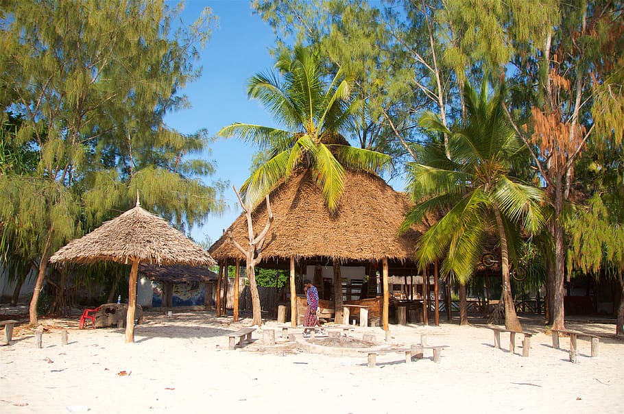 Zanzibar, Africa, Tanzania, beach, vacations, sand, tropical climate, thatched roof, palm tree, tree