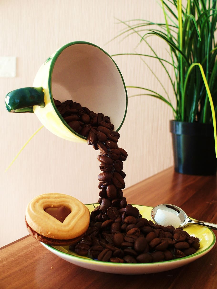 Café, copa, grãos de café, xícara de café, xícara, feijão, sobremesa, doce, projeto, dentro de casa