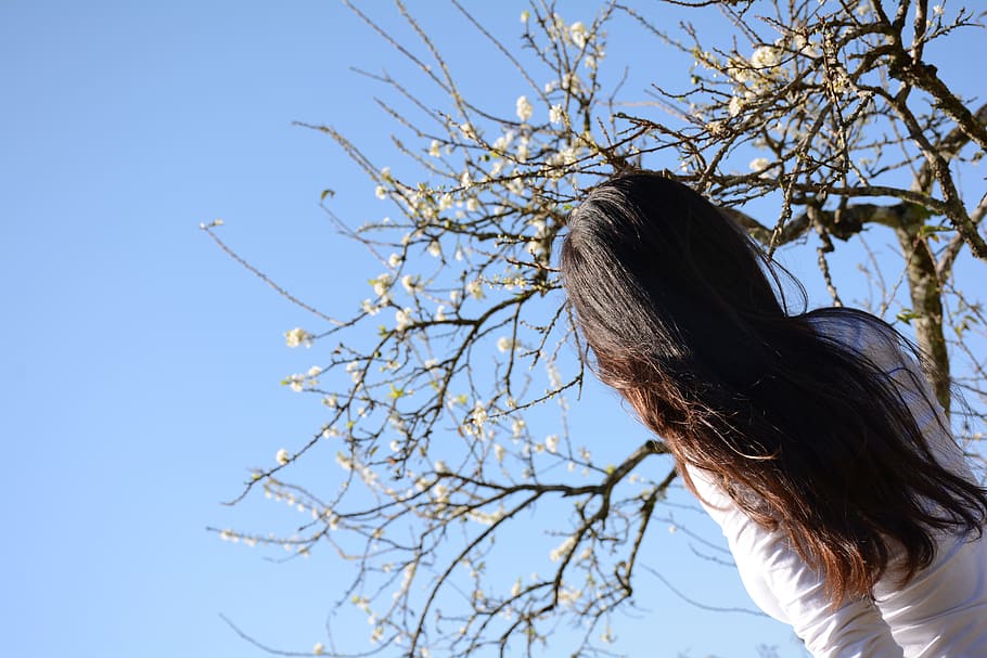 plum flower, background, blue sky, landscape, girl, hair, light, one person, long hair, sky