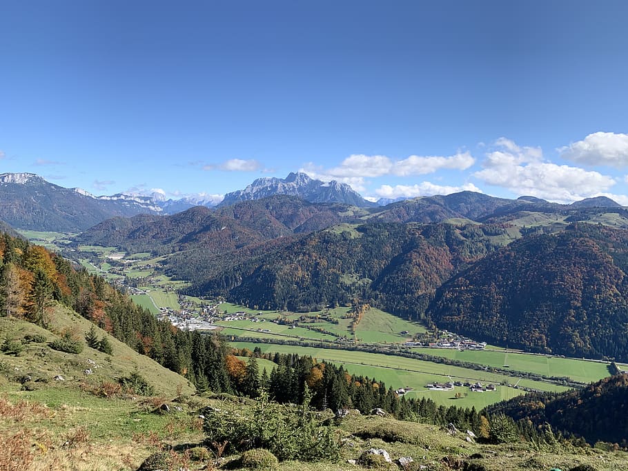 alpine, wild emperor, austria, mountains, forest, mountain meadow, alm, alpine meadows, mountain, scenics - nature