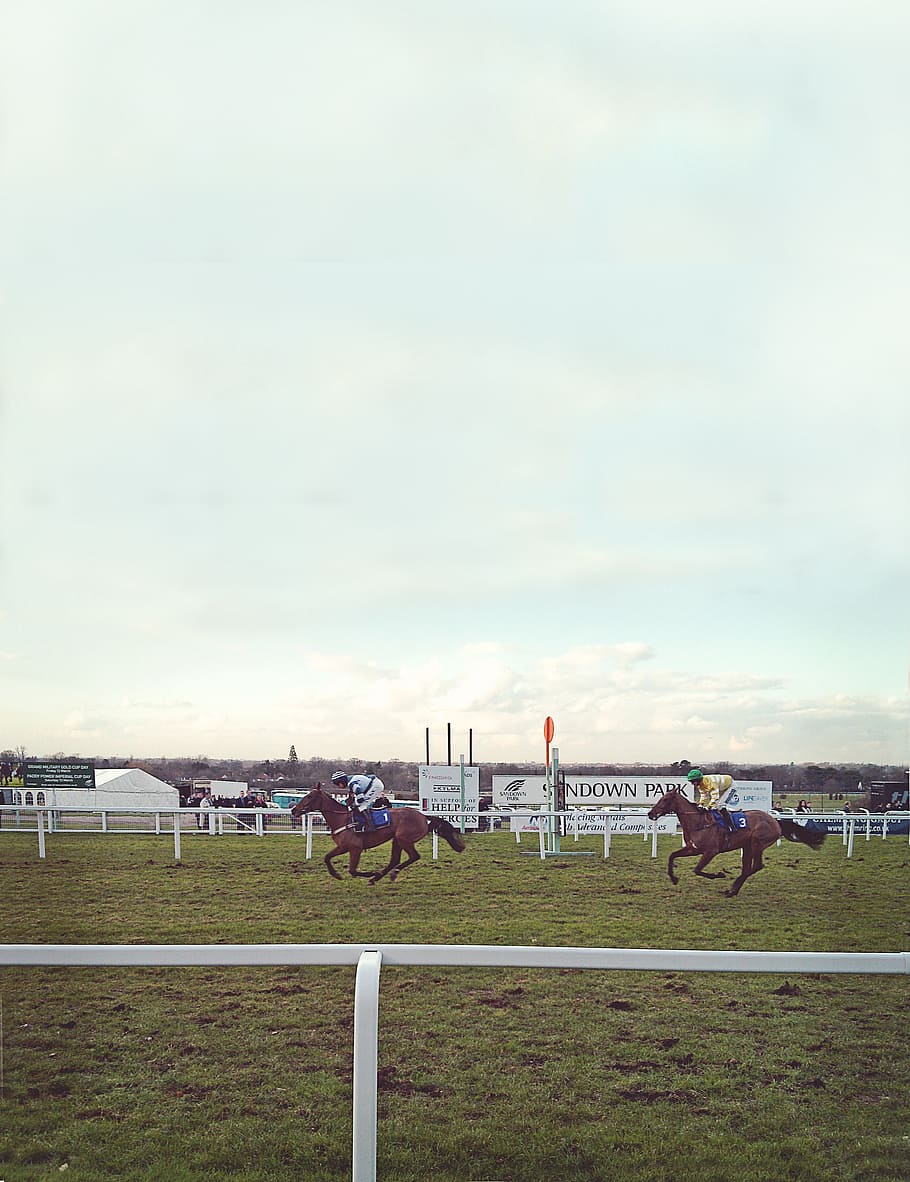horses, bet, horseracing, grunge, animal, race, sport, competition, equestrian, racehorse