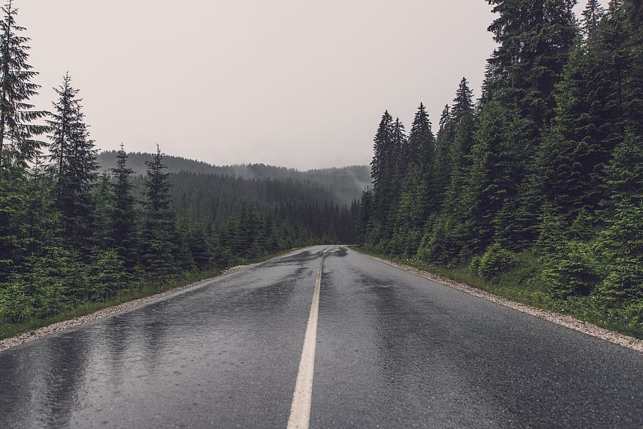 gray, asphalt road, cloudy, sky, road, wet, trees, highway, asphalt, direction